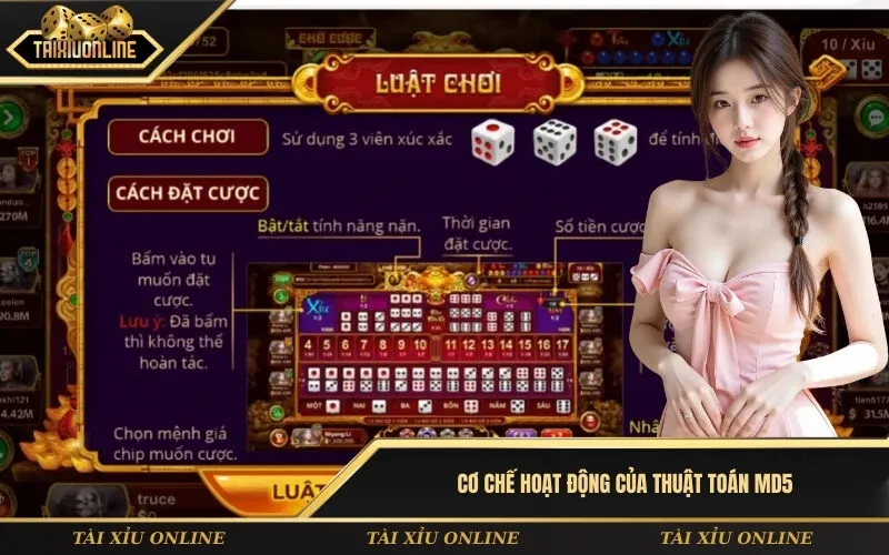 Cơ chế hoạt động của thuật toán MD5