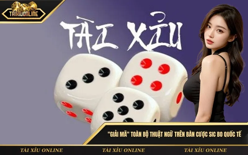 Giải mã toàn bộ thuật ngữ trên bàn cược Sic Bo quốc tế