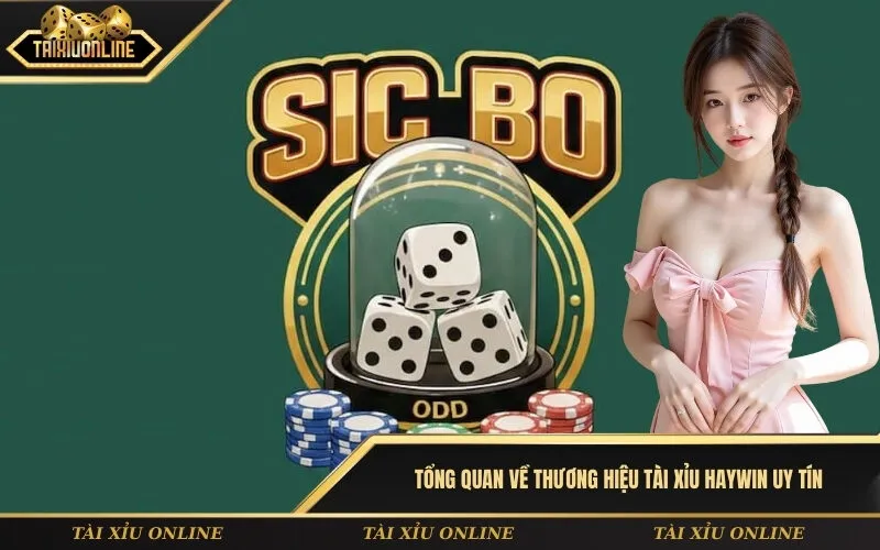 Tổng quan về thương hiệu tài xỉu HayWin uy tín